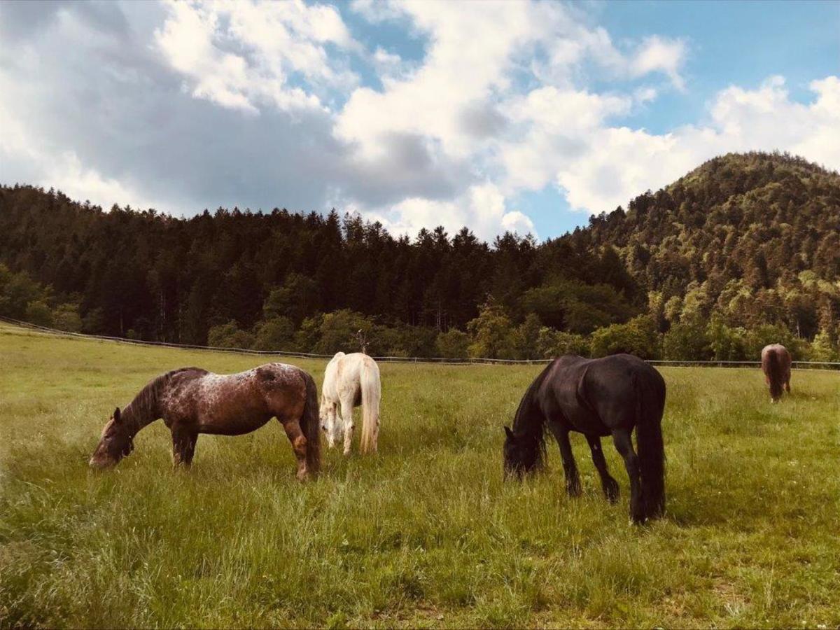 0084578b01215f3a6e750ba966531493_1200_1200_0