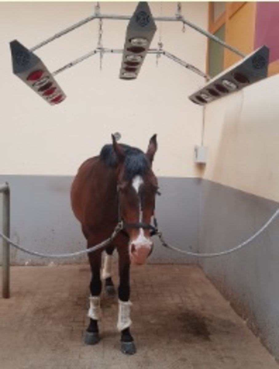 042bec62628e5b07d60ae5515a136171_1200_1200_0