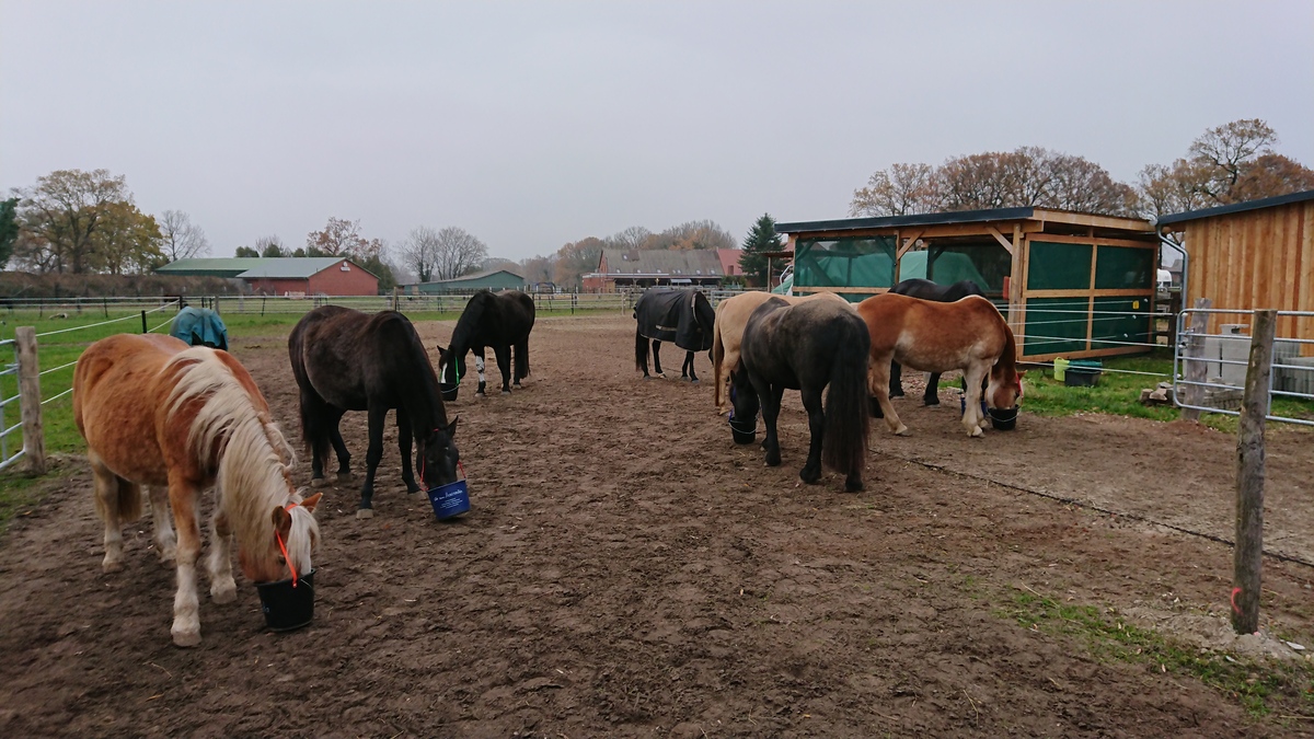 04aac71d553dd91148a2c3d22b796141_1200_1200_0 (1)