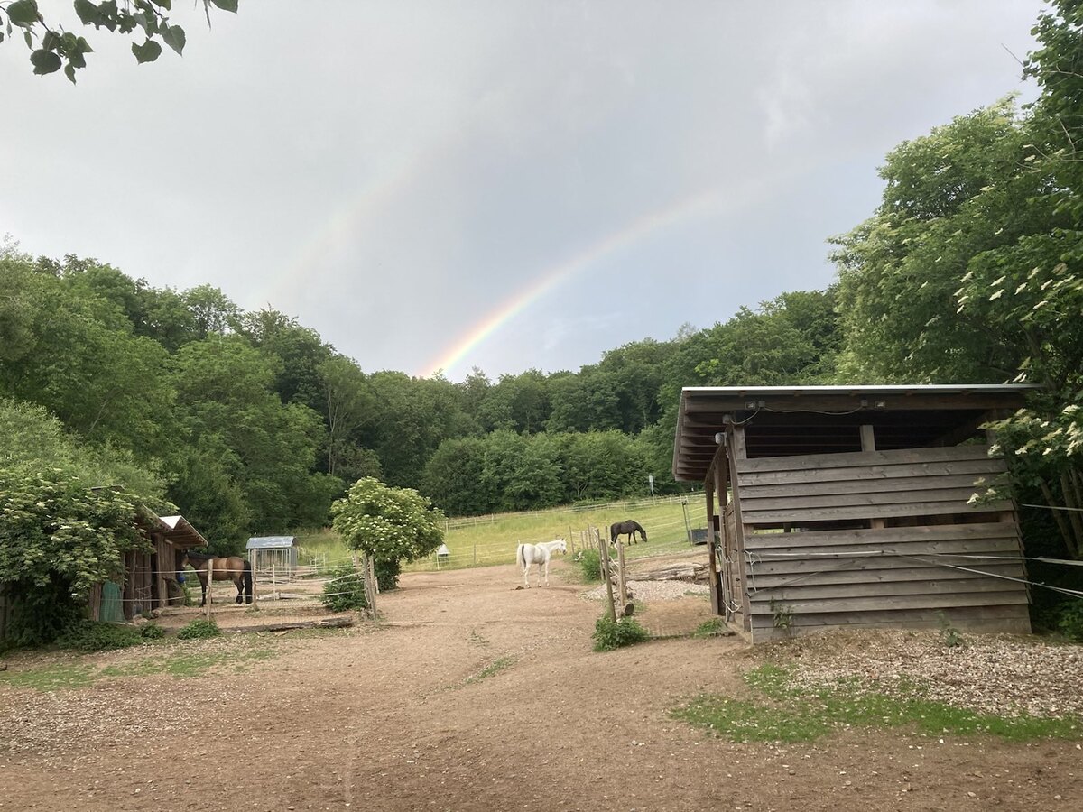 0c9b1d8060db7d8bd4ec488288b178cc_1200_1200_0