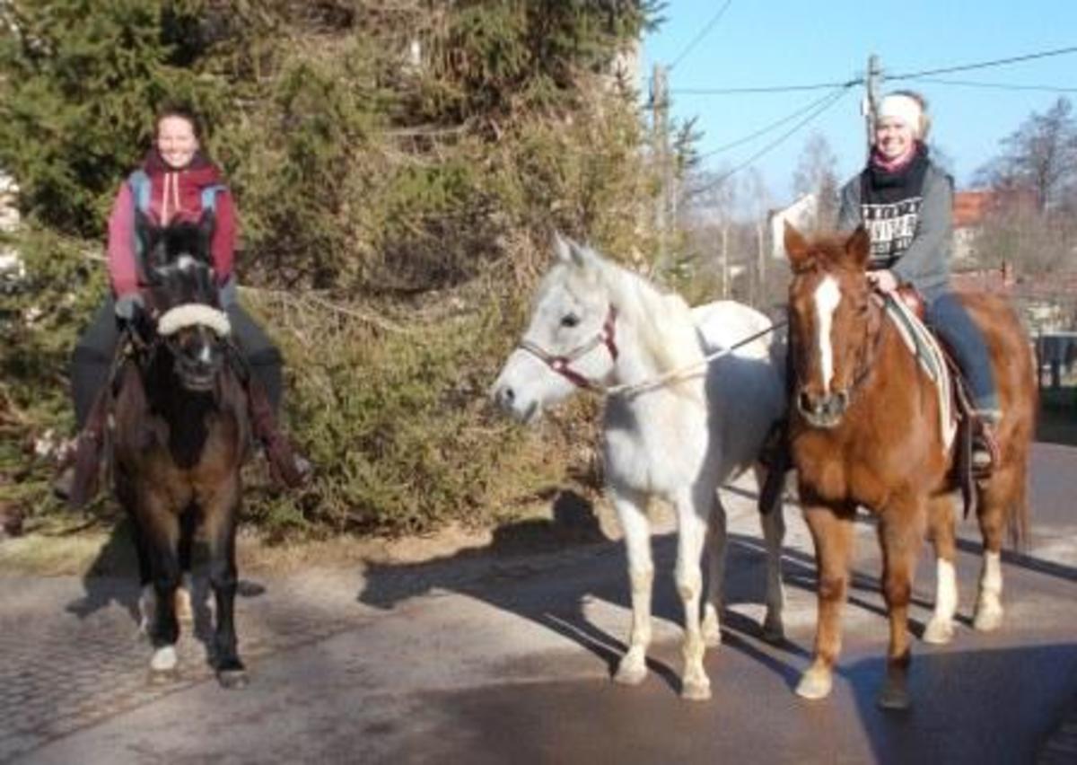 0d72dec3a141a798bc3a5f3b9ee84594_1200_1200_0