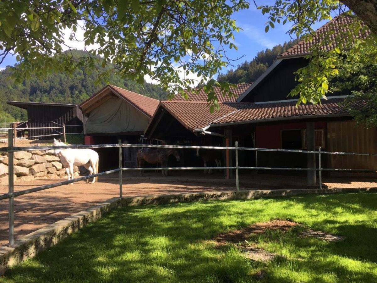 0e74c0e0fc841c5bb7b4819417faf8a7_1200_1200_0