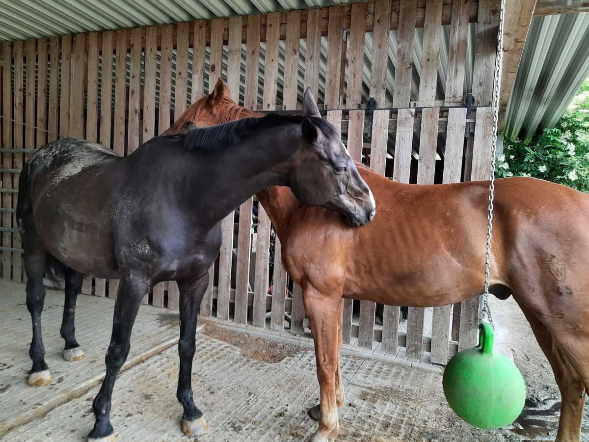 0f4a57bf586e7c569e2be318507ec872_1200_1200_0