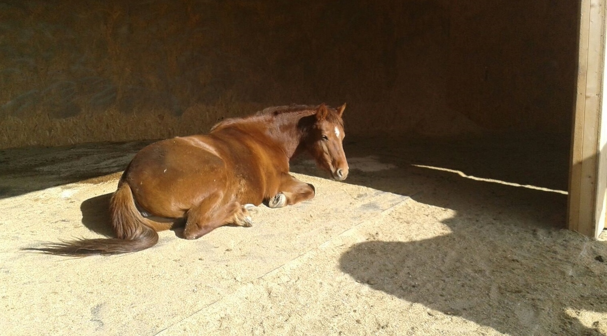 18457e568f330f679bbf4dbbf8b01f2e_1200_1200_0