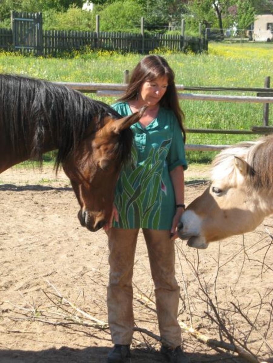 1baab91e6e69688c1f3c336826116c1d_1200_1200_0