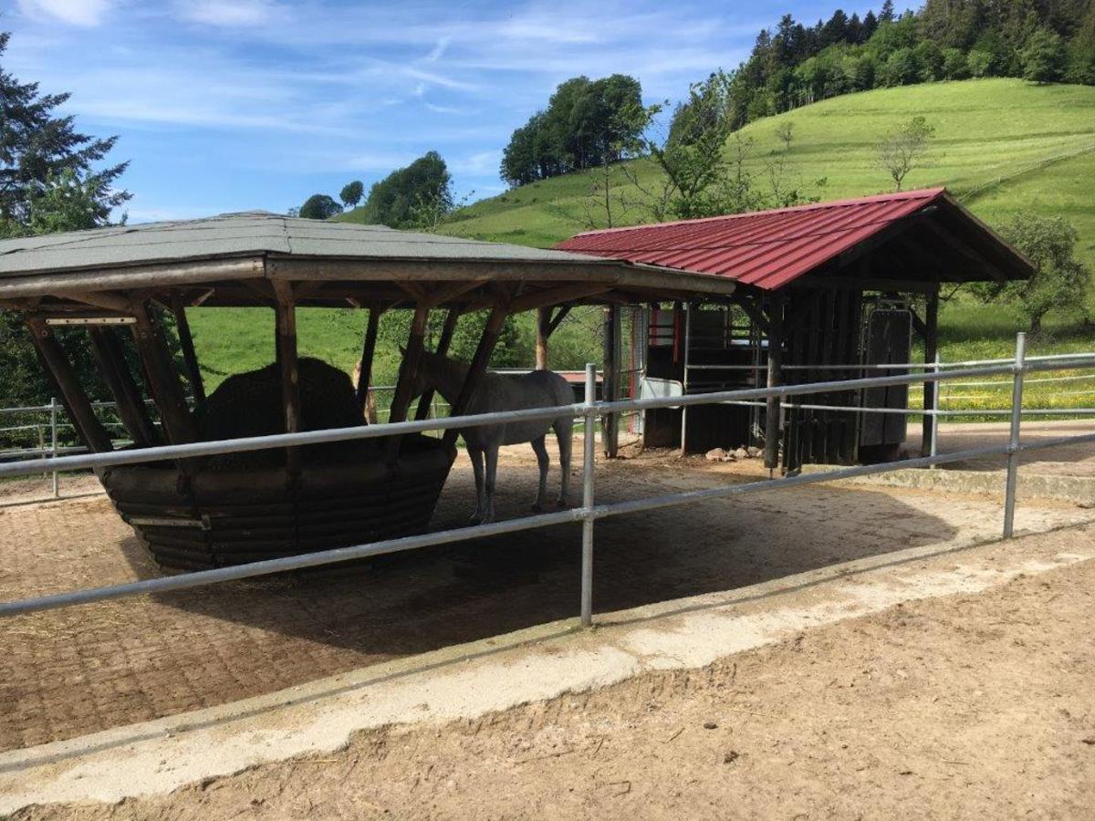 1cf8213af0166b458b198c8ea0a7d4ff_1200_1200_0