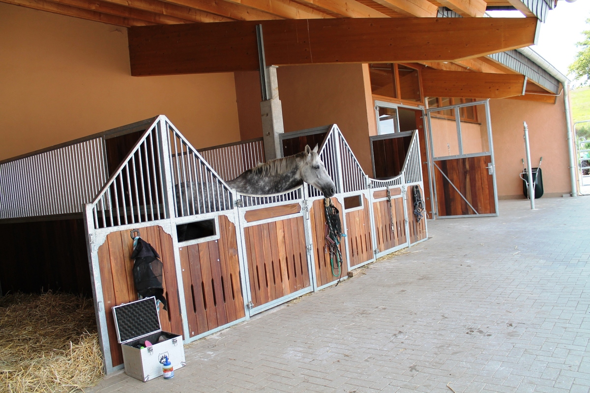 1f1f1d3277939b3c03ff0a34bea249e6_1200_1200_0