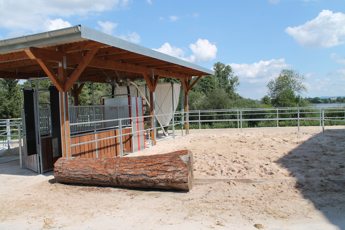 25b8f2f2cd941507f20227e4da78aa0d_1200_1200_0