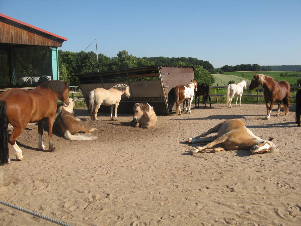 276d33dab079cbceb04ebc63a0cad3cf_1200_1200_0