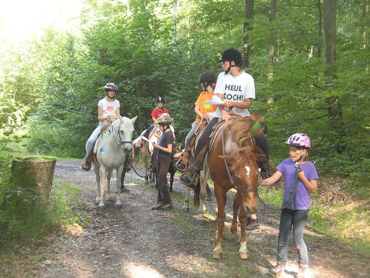 27b737f8ae4c11bd6af43945a1906be1_1200_1200_0