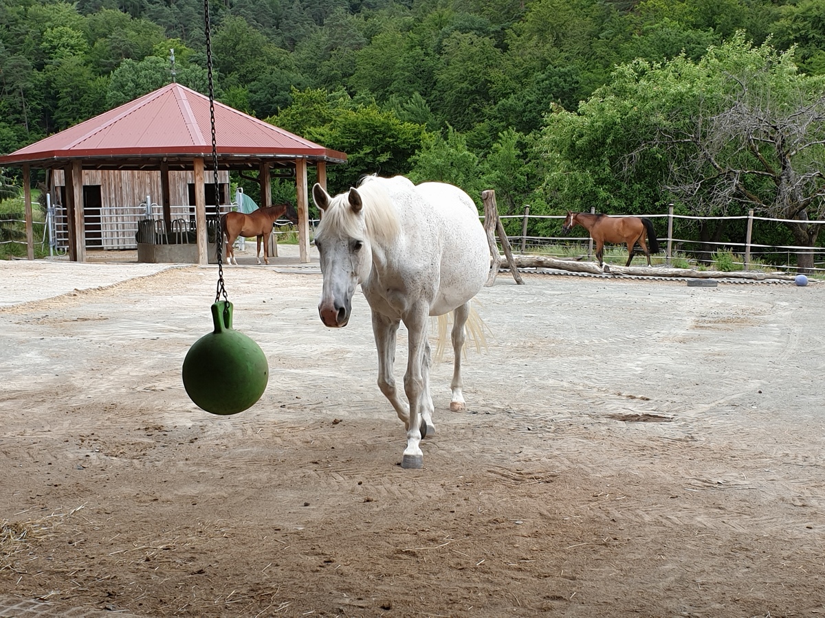 2ac8989d409121f75794b7684c5febae_1200_1200_0