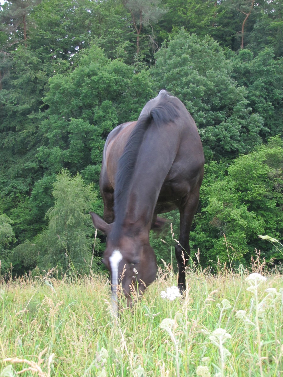 2bc145141617b3fd1bab71d85da420a4_1200_1200_0