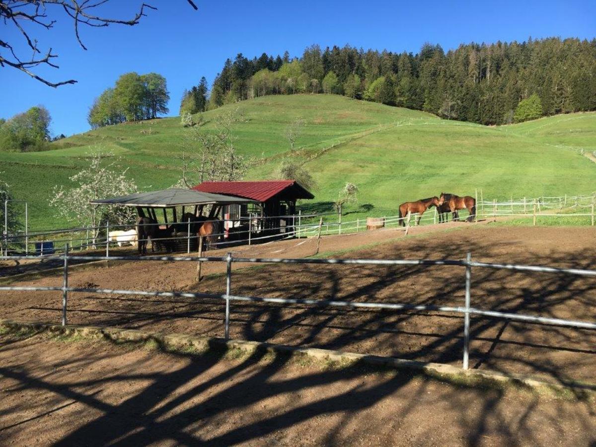 2d9fe91c29150798dd66cac773452770_1200_1200_0