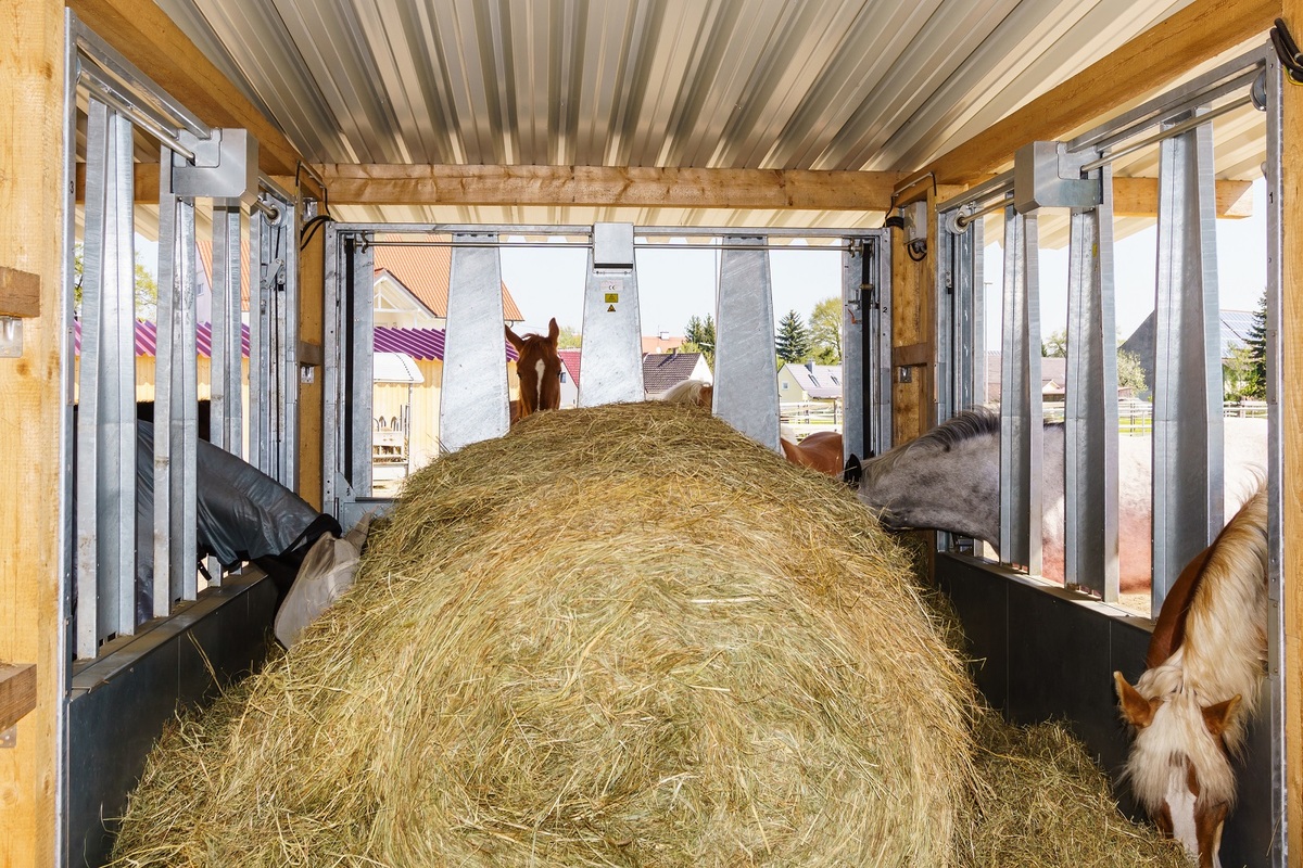 Reitschule Schwabhof _30.04.2017