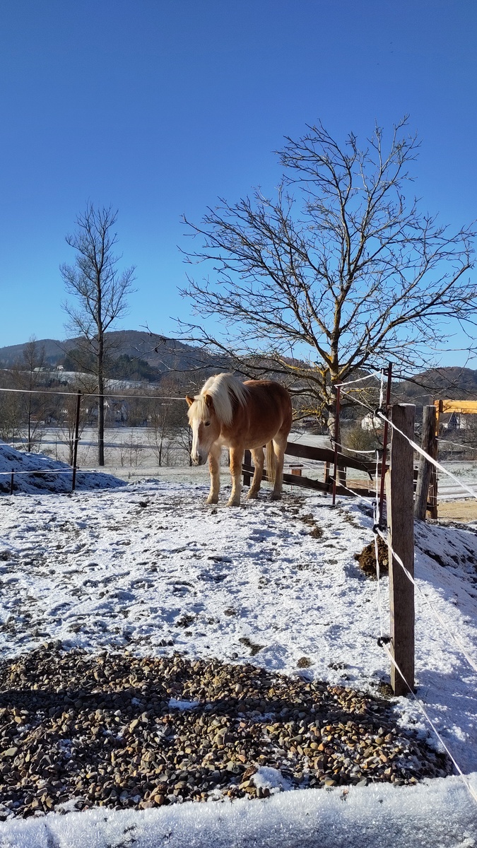 31b099ce128f4642f5cf9cded4c0b693_1200_1200_0