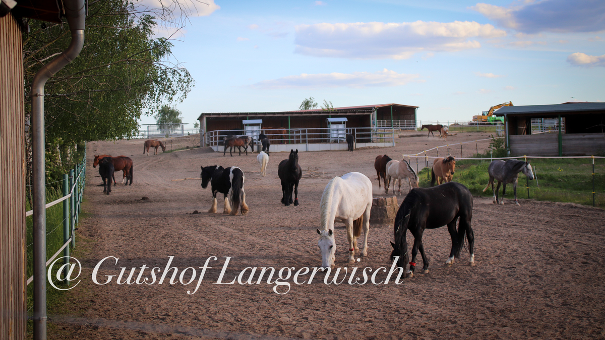 38f80a08f7171f9919451ef9087cc1ec_1200_1200_0