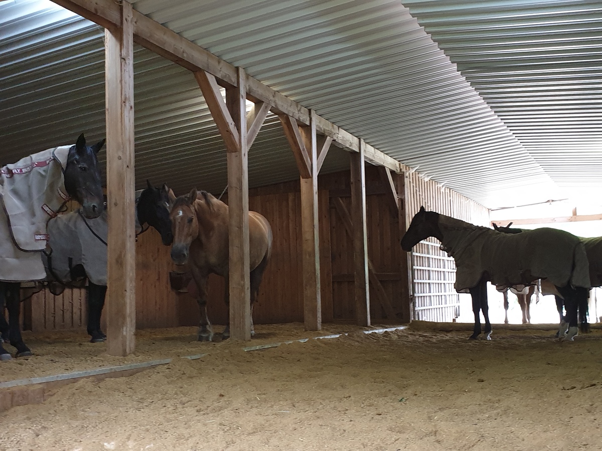 396c706ad445e83f149f55eb045d8564_1200_1200_0