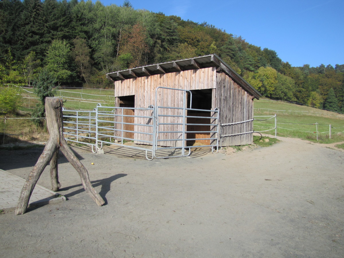 41bf6ed0f4e0dd6301ab1ab59ae5363f_1200_1200_0