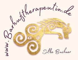 42f3a17caf7d2564076ea88b1a611527_250_500_0