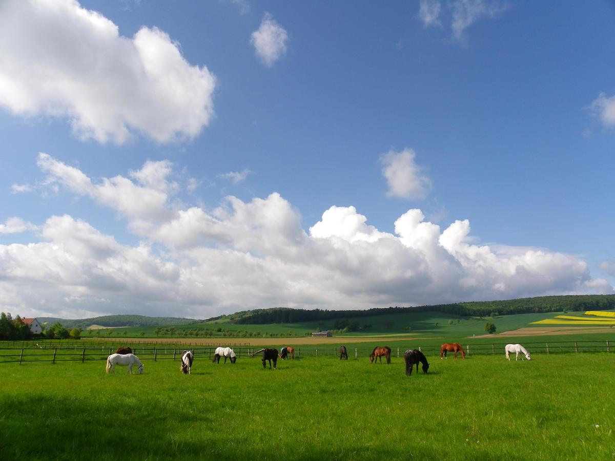 4337ea822b7f0d14c28c583fb82cb5fe_1200_1200_0