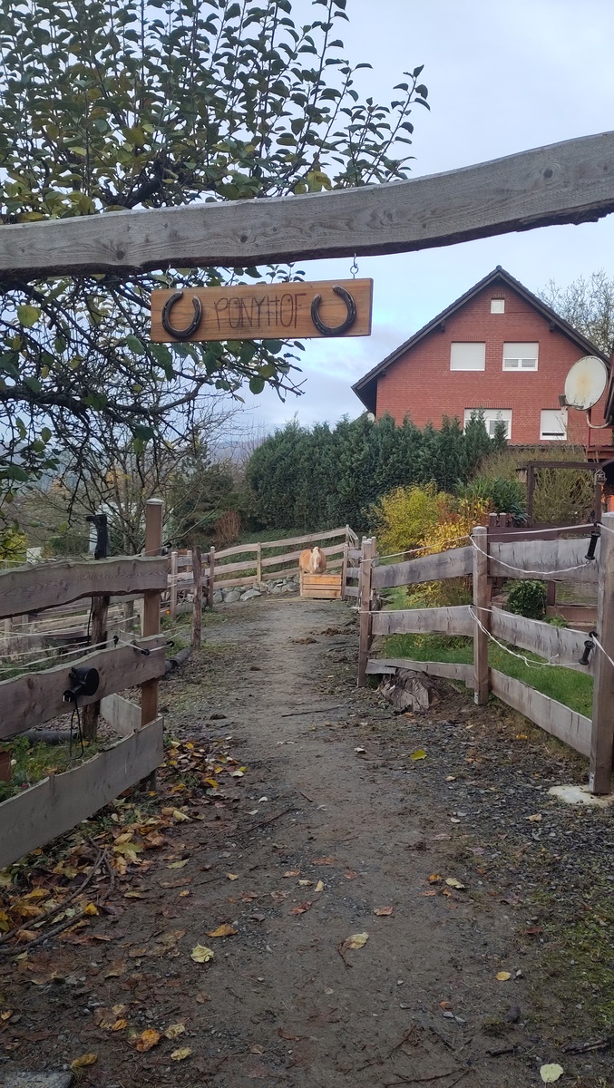 47108cafdee41ce24ed999202982811d_1200_1200_0