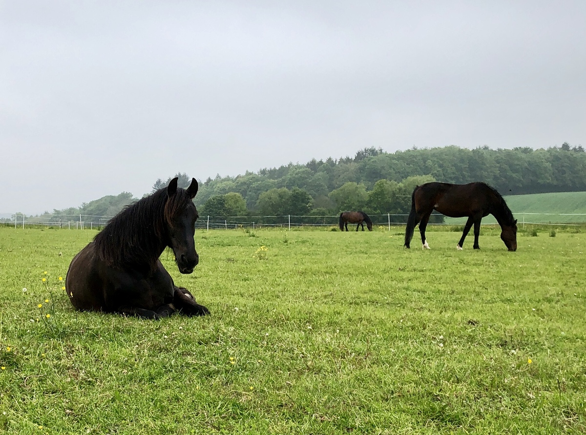 4c3b58bbeddf7f475ca7e08f96a01328_1200_1200_0