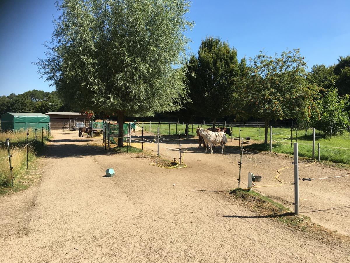 4e3e5e6013c2a71aa756afa50f20954a_1200_1200_0