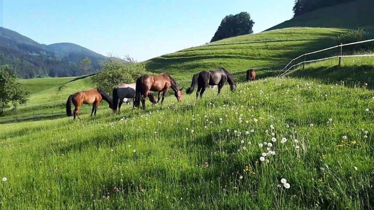 587f76a62c10f00b6f8a97c4120ebbf5_1200_1200_0