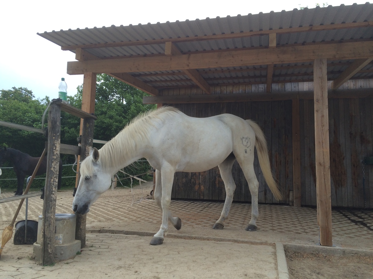 5bb5650d11423c91ae1fb41c25dbfb2d_1200_1200_0