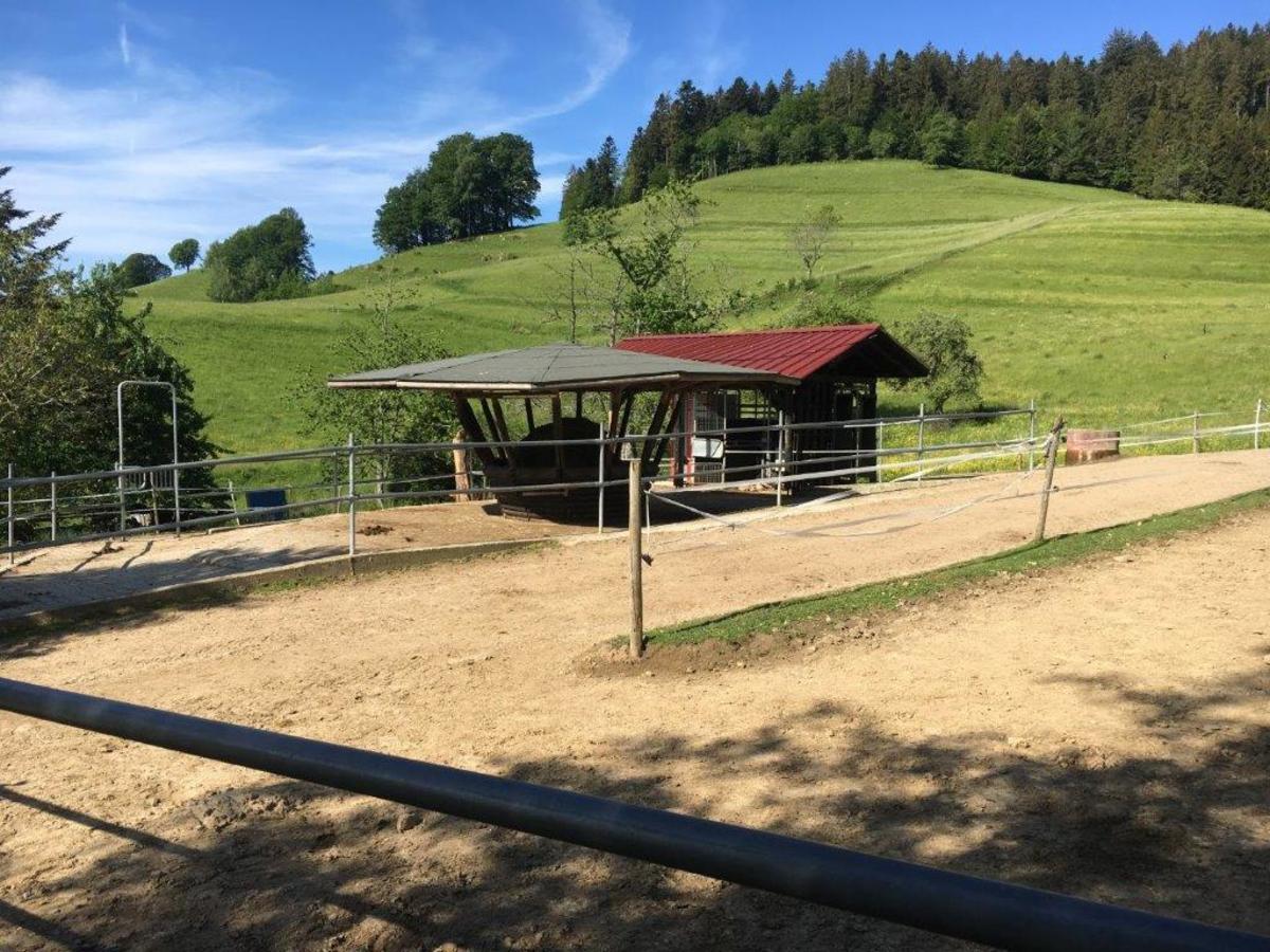 5e6c6e976ea1b4d02239f987b796ee85_1200_1200_0