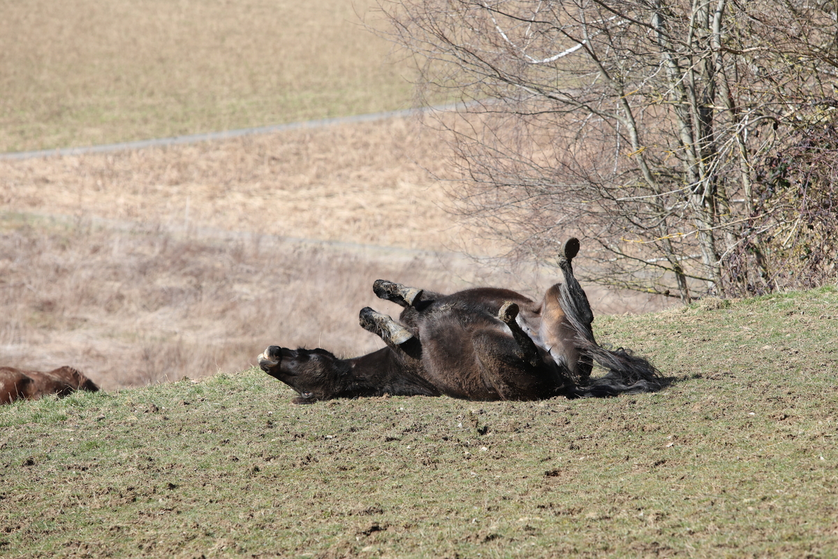 61538c9c17ee415af389d646fc3be7a1_1200_1200_0