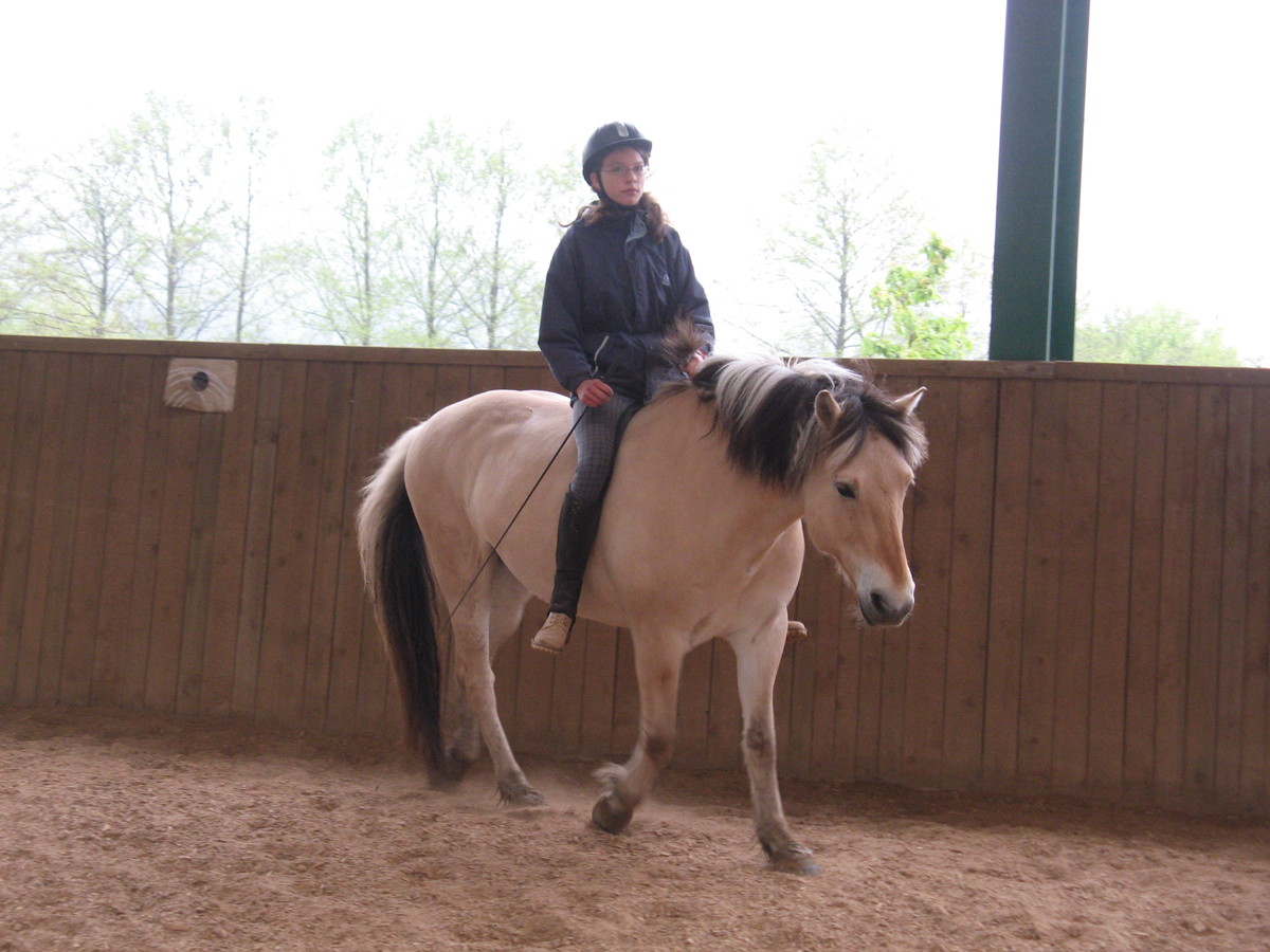 6372f740411e5c0743cace20b7b3e4c4_1200_1200_0