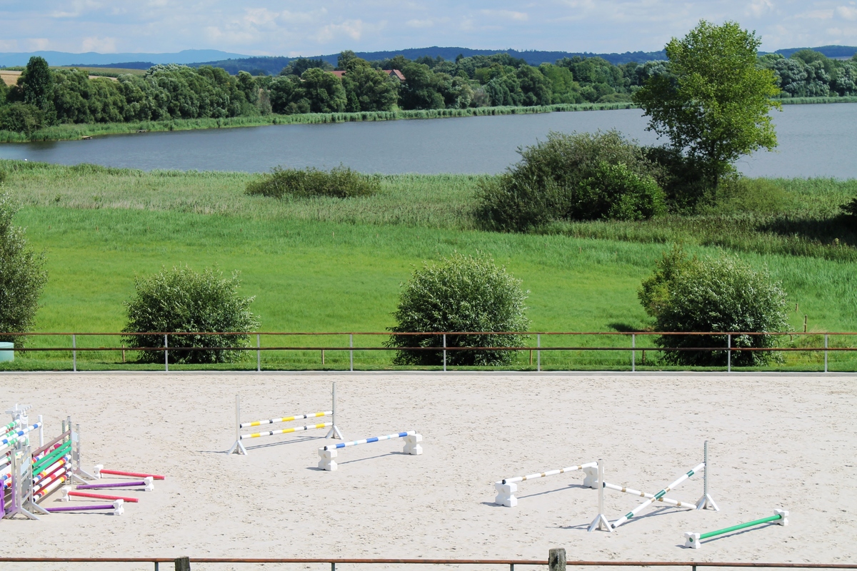 6a5cf212fa9ff240874889c4adaec2d1_1200_1200_0