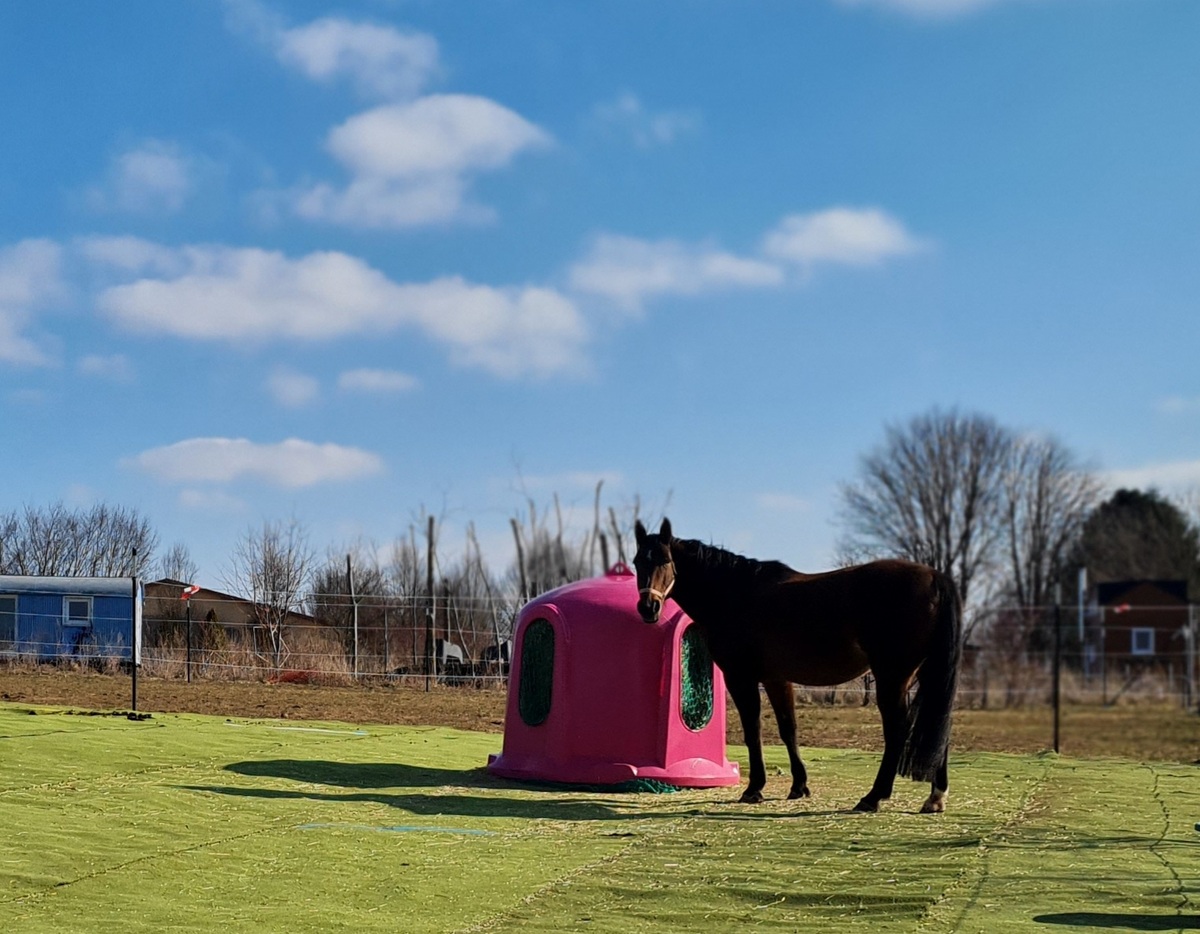 6cce5d481975f5253d7ceac7f64387fc_1200_1200_0