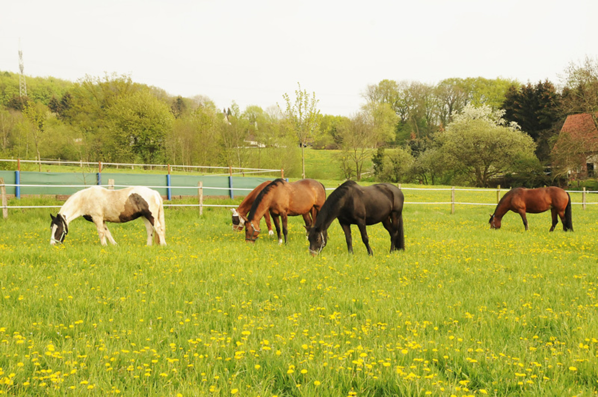 6cefe2cf881705f1e3e41ca2868b38e1_1200_1200_0