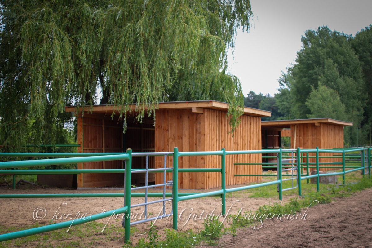 6e74053ee83ef7f5805ad5a591fe5e70_1200_1200_0