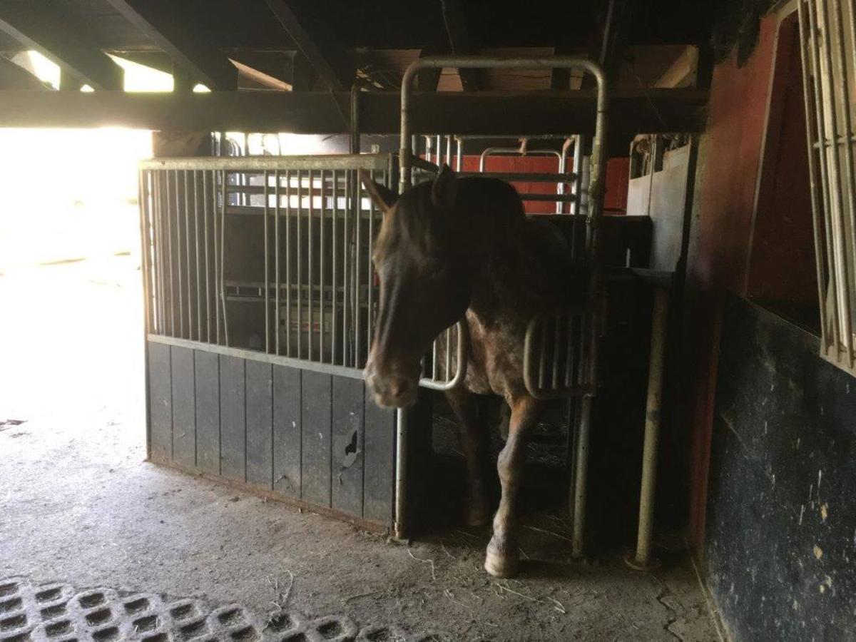 77e2b46bc316b3a957ce22dc7126ebc9_1200_1200_0