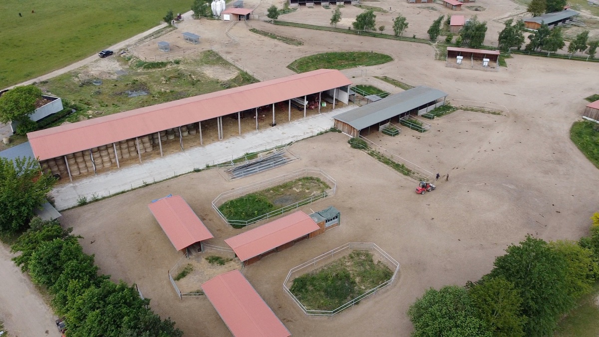 7b649ad2531e6300c0bbd3ae85790de3_1200_1200_0