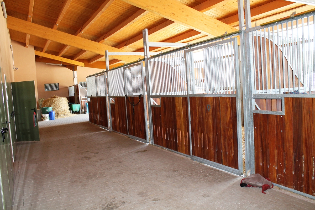 85ecc4a281bf76d476f0b757ddbc83c1_1200_1200_0