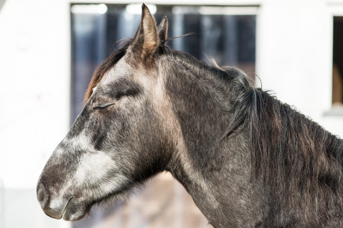 862548ffb63e3cd109941993a398cb75_1200_1200_0