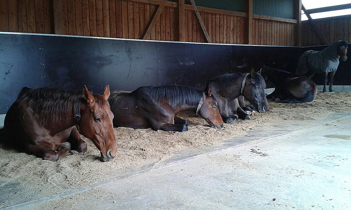 86c8361ade3d09353b98d511adb34784_1200_1200_0