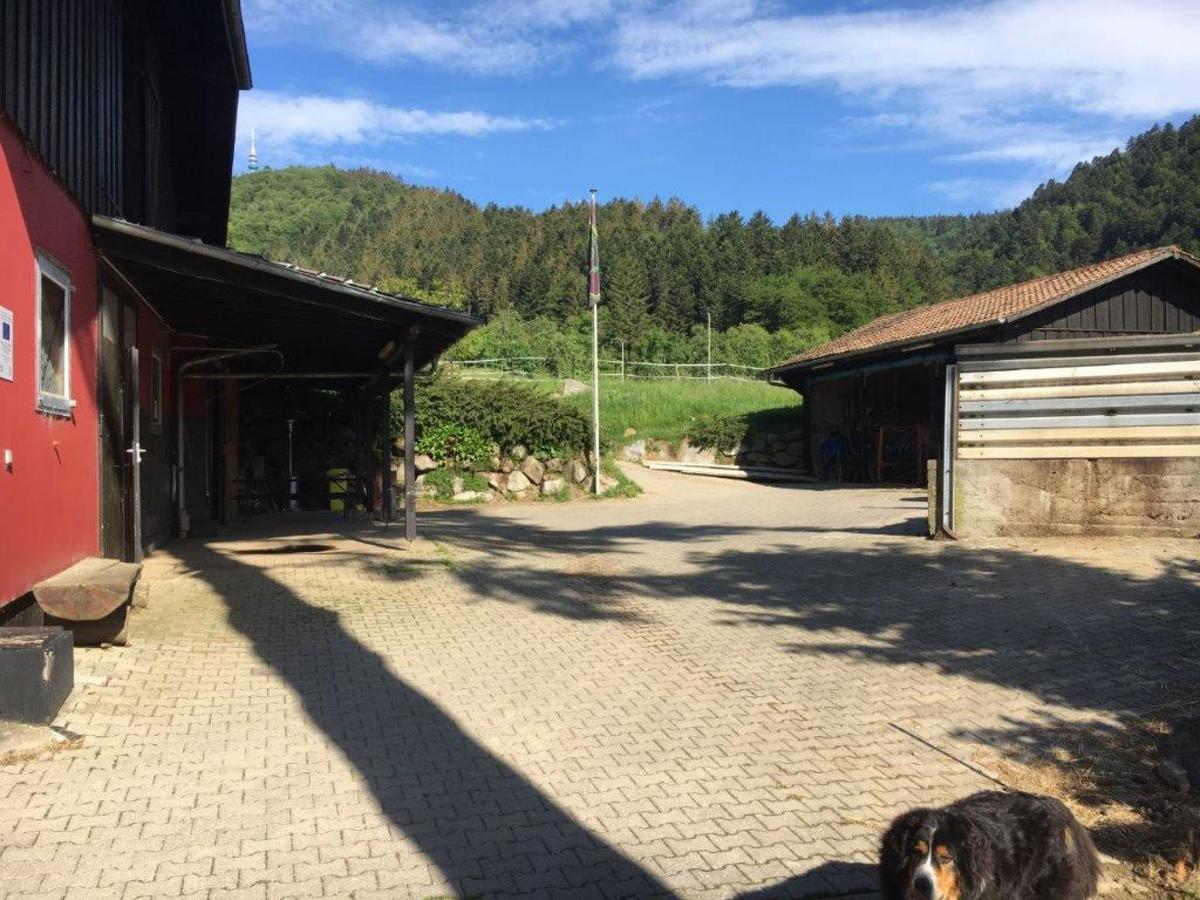 8864f51cad0b36e580143b7eba842195_1200_1200_0