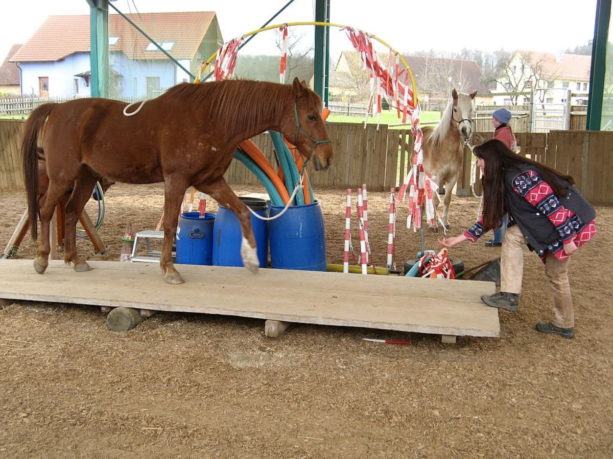 89805764805ab9bce2a44c17ef13e778_1200_1200_0