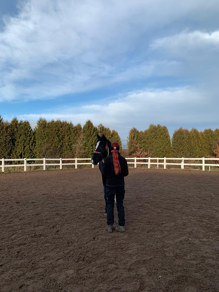 8c55478fa55dbdb3a6b59c74d55f2284_1200_1200_0