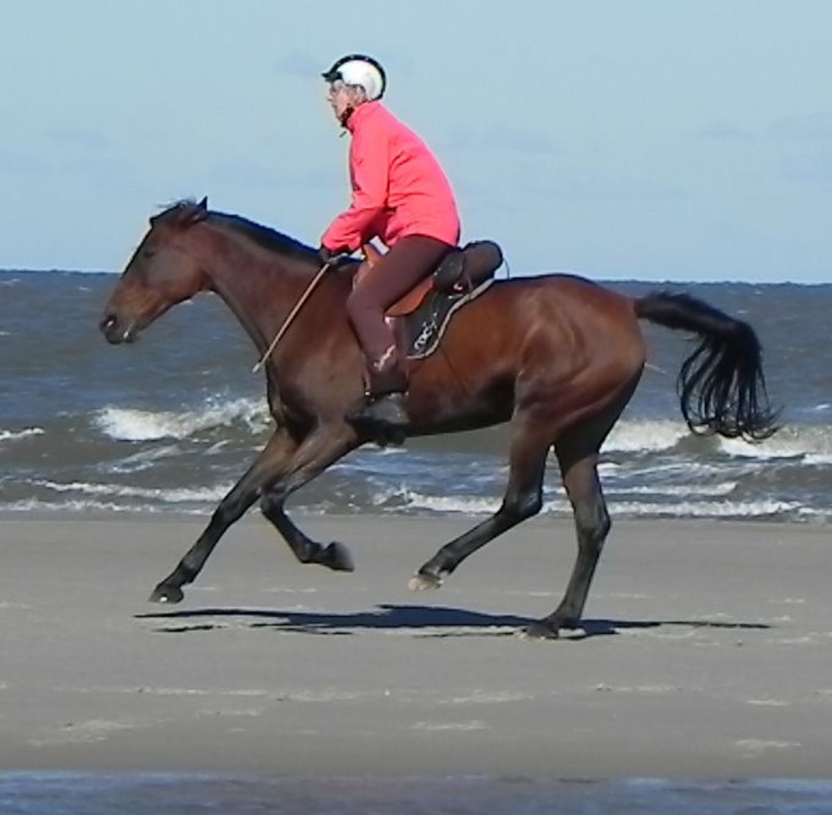 8f4a79af598198e516b14b565eb7ac77_1200_1200_0