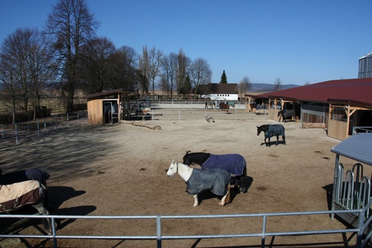 90999f58b06091183177197a82abe5ca_1200_1200_0