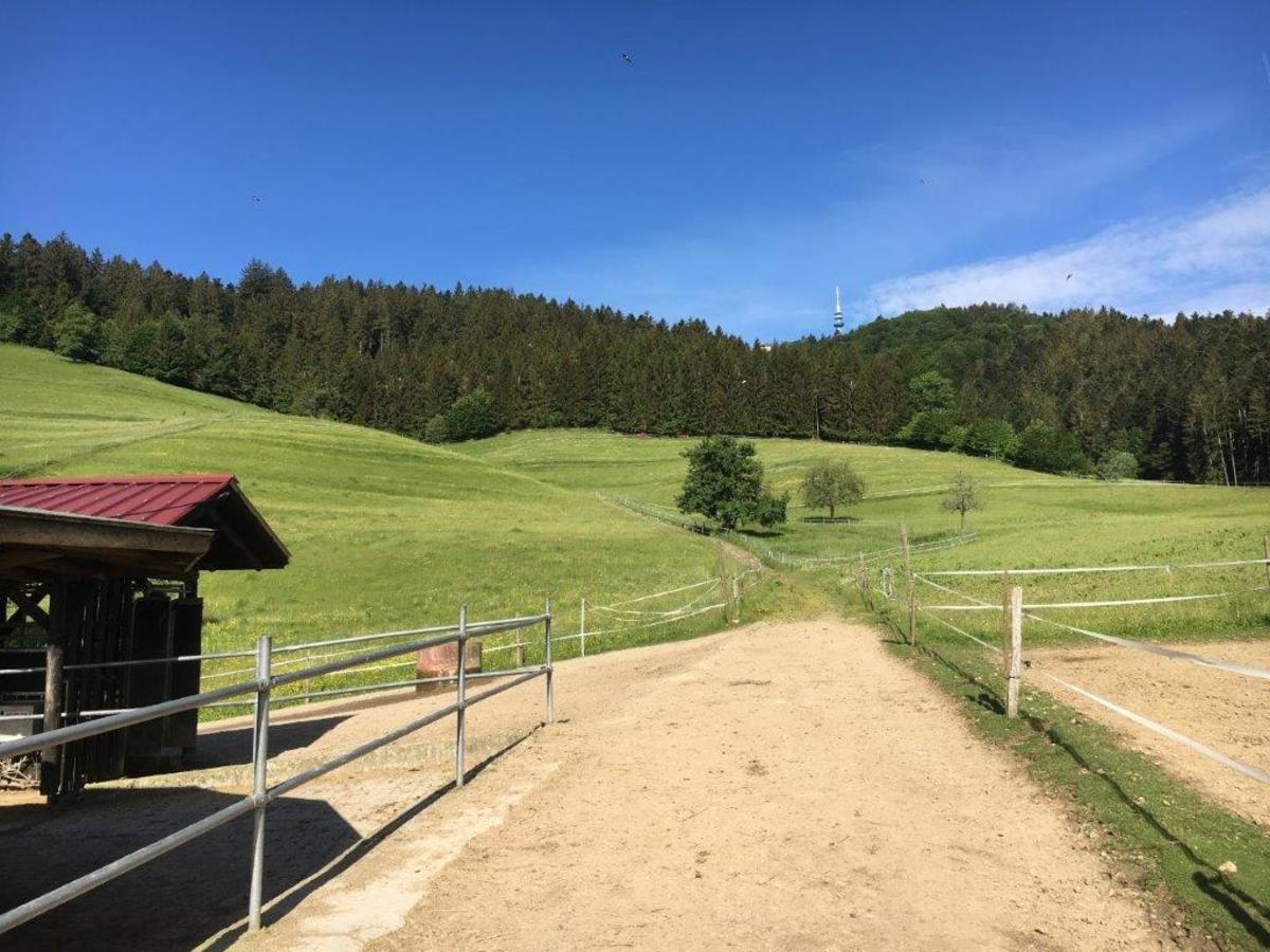 92ef2f15ff94d5257709eee7fcd77bfb_1200_1200_0