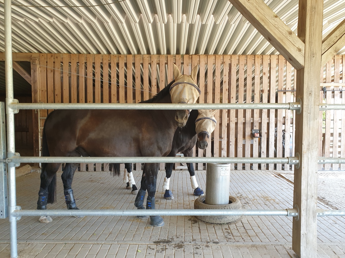 934ef32b3d4f75cb5378c13ec9759ac7_1200_1200_0