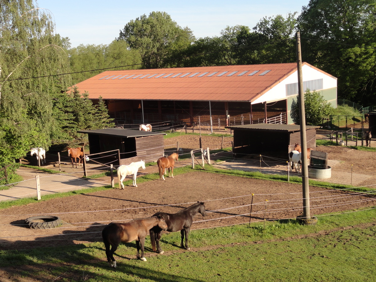 9c9b6cd2f68454a2331b4048f6abd5d3_1200_1200_0