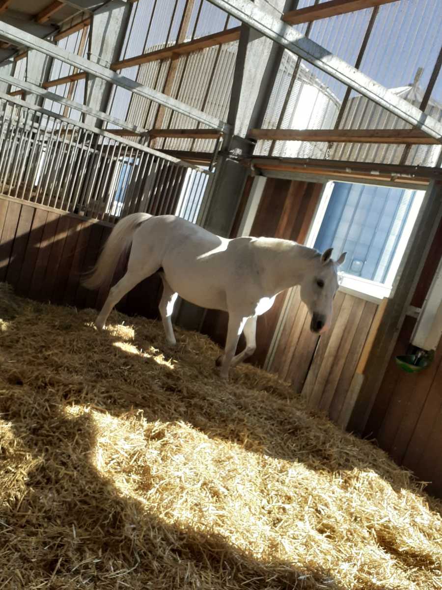 a2fb58e49bcfa835289e9d1b45bb4b69_1200_1200_0